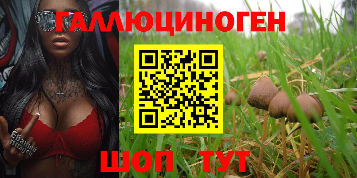 Псилоцибиновые грибы Magic Shrooms  Вход с VPN  Котовск 